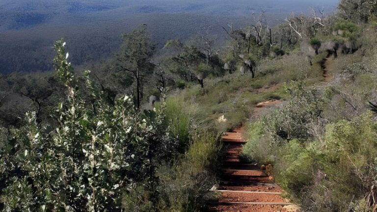 Mount Dale Circuit Walk (2.5km) Mount dale circuit walk (2. 5km)