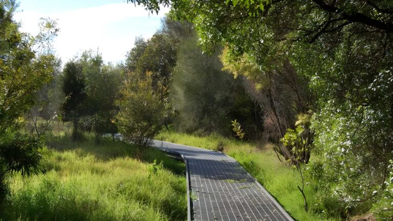 Rainforest walk to riverside park walk (2km)