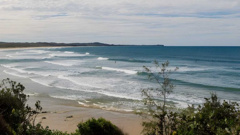 Rocky Point Walking Track (1.8km) Rocky point walking track (1. 8km)
