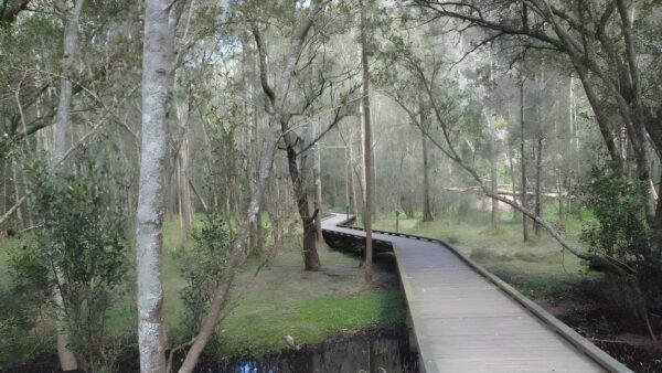 Thornleigh to mt kuring-gai hike (28. 1km)