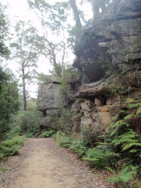 Hikes Epping to thornleigh station 450x600