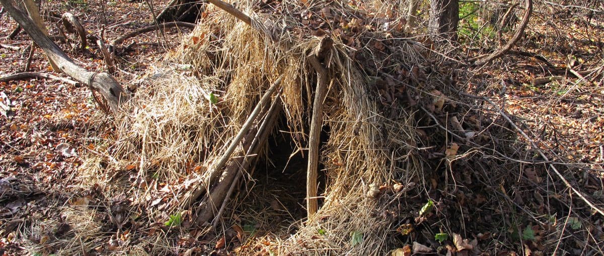 Surviving in the Australian Bush with No Food, Water or Shelter