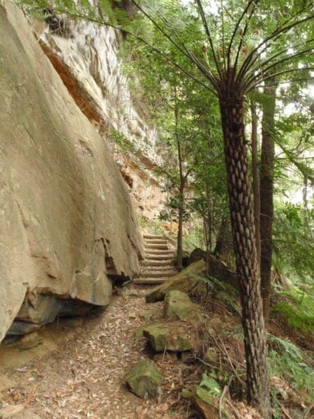 Katandra reserve explorer 450x600