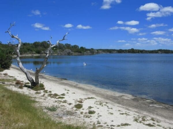 Kepwari walk trail 600x450