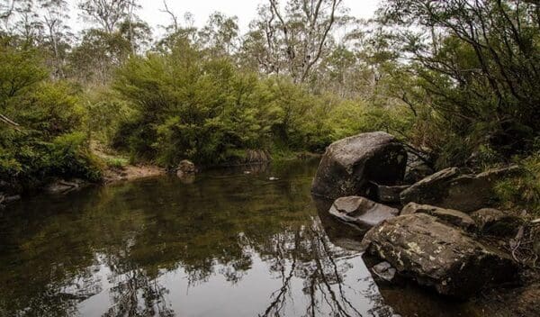 Jerusalem Creek Walking Track (4km) Mountaineer glowang trail trail hiking australia 600x352