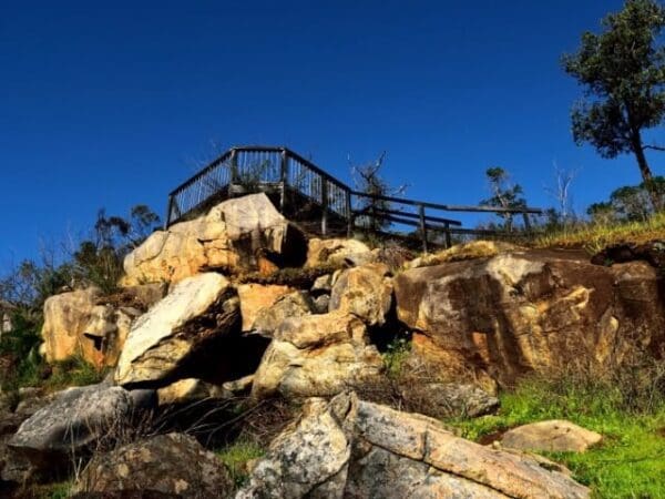 Numbat trail 600x450