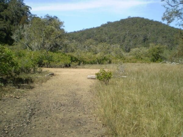 Hikes Smiths creek 600x450