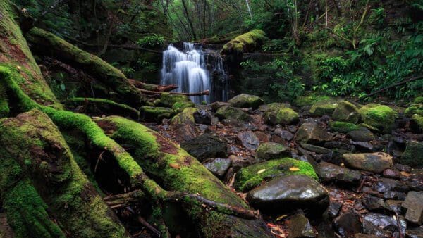 Strickland falls 600x338