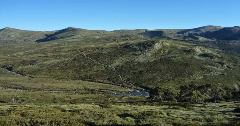 Kosciuszko Summit Trail: Charlotte Pass to Rawson Pass Hike (15.2km) Summit trail charlotte pass to rawson pass 768x403