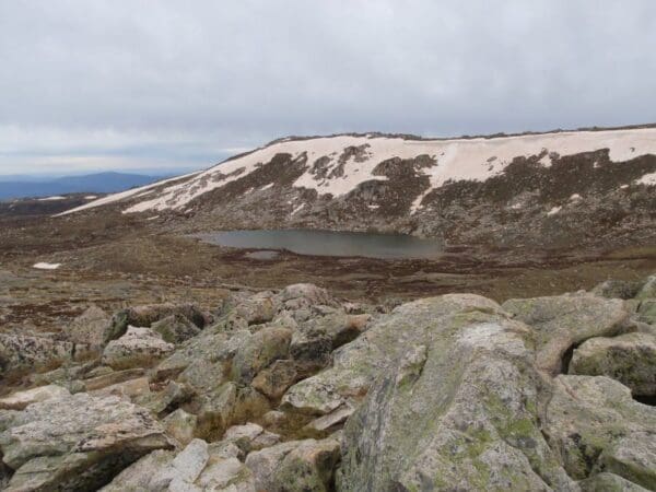 Merritts Nature Track (3.7km) Thredbo to cootapatamba lookout return 600x450