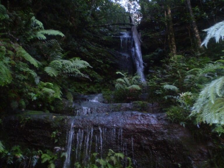 Wentworth falls conservation hut loop 768x576