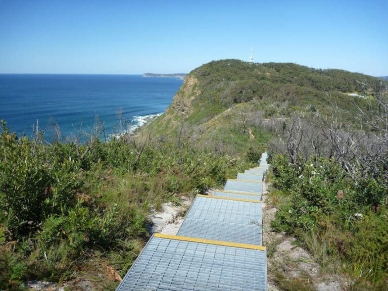 Wyrrabalong Lookout to Crackneck Lookout Walk (1.6km) Wyrrabalong lookout to crackneck lookout 768x576