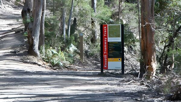 Kaoota tramway hike (12. 5km)