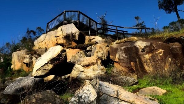 Numbat trail walk (12km)