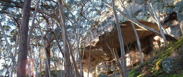 Hikes Trail hiking buckertillible cave circuit 7km 600x254