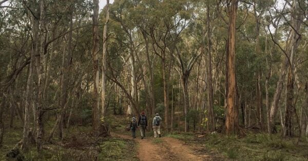 Trail hiking five fryers circuit 600x315