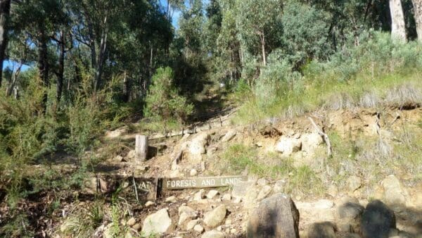 Valley & Eagle Nest Loop Hike (7.9km) Trail hiking glasgow track circuit 600x338