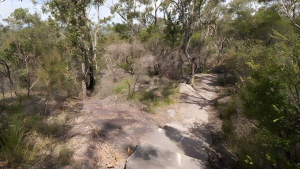Wondabyne to patonga walking track (23km)