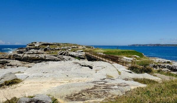 Hikes in New South Wales Cape banks walking track trail hiking australia 600x352