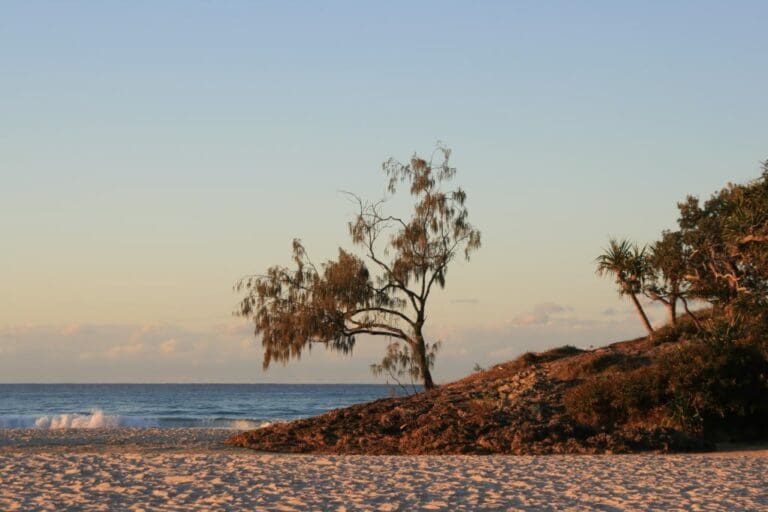 Flinders beach 768x512