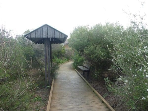 Jennifer street boardwalk 600x450