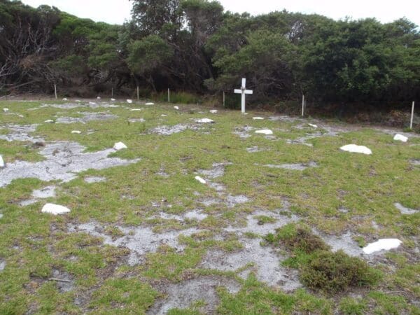 Ly ee moon graveyard 600x450