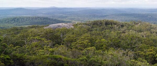 Mt frankland 600x254