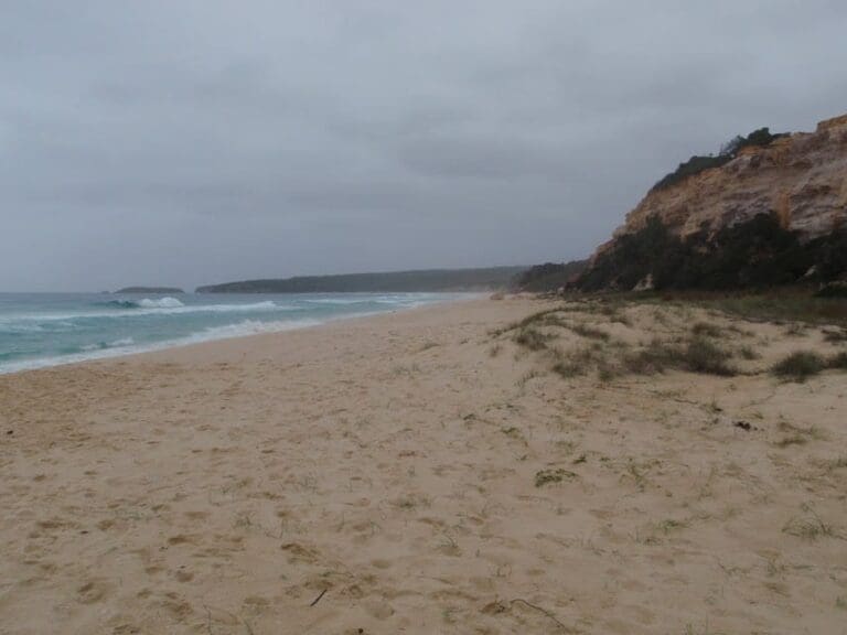 Pinnacles Car Park to Long Beach Walk (700m) Pinnacles car park to long beach 768x576