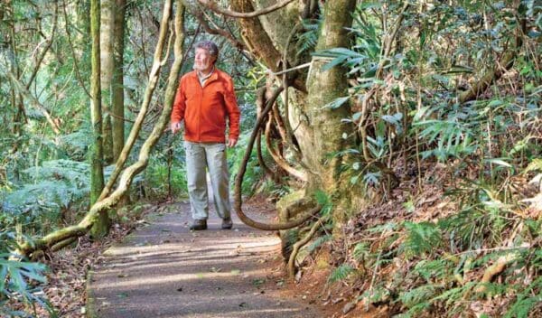 Satinbird stroll trail hiking australia 600x352