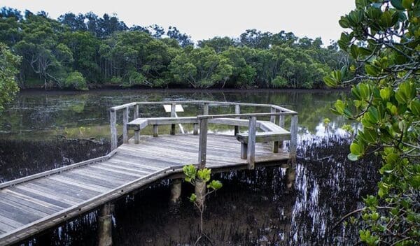 Walk on water walking track trail hiking australia 600x352