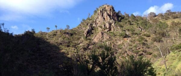 Werribee gorge circuit via the shelter shed 600x254