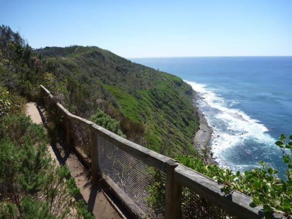 Wyrrabalong coast walking track 600x450