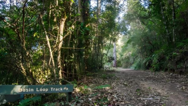 Basin Loop Track (7km) Basin loop track (7km)