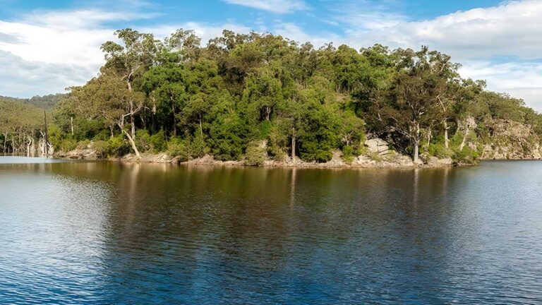 Kangaroo River Walking Track (7km) Kangaroo river walking track (7km)