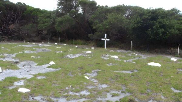 Ly-ee-moon graveyard walk (500m)
