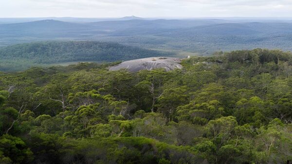 Mount frankland walk (1. 5km)