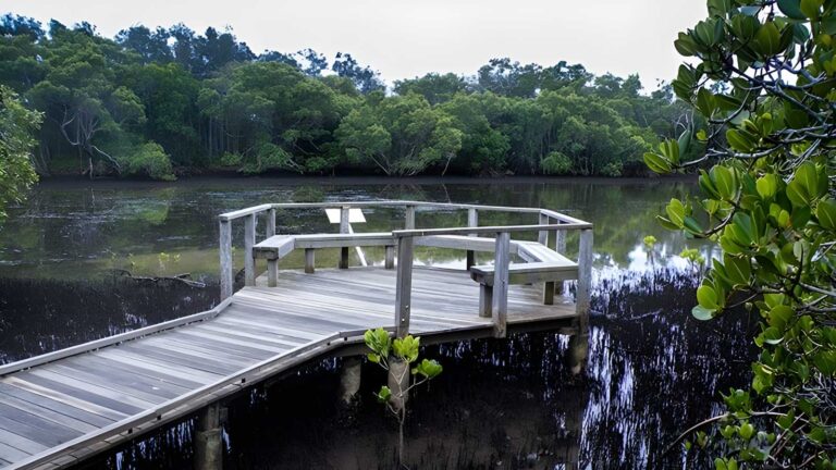 Walk on water walking track (1km)