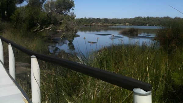 Wetlands Trail Walk (2km) Wetlands trail walk (2km)