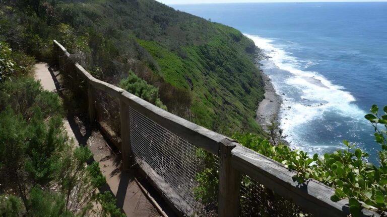 Wyrrabalong Coast Walking Track (3.8km) Wyrrabalong coast walking track (3. 8km)
