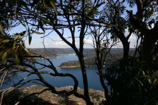 Hikes Bairne track to towlers bay lookout 600x400