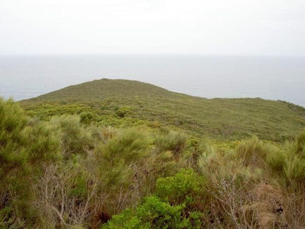 Bouddi lookout 600x450
