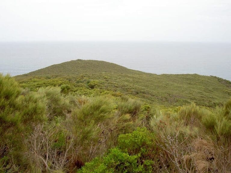 Bouddi Lookout Walk (1.8km) Bouddi lookout 768x576