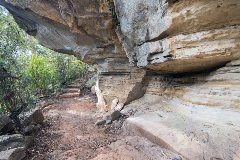 Dragon Cave & Bloodwood Cave Walk (2.6km) Dragon cave and bloodwood cave 768x513