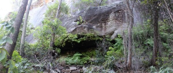 Dripping rock and the overhang 1 600x254