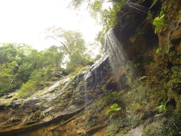 Gap creek falls walk 600x450