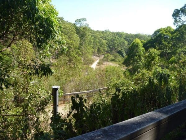 Leichhardts green point walk 600x450