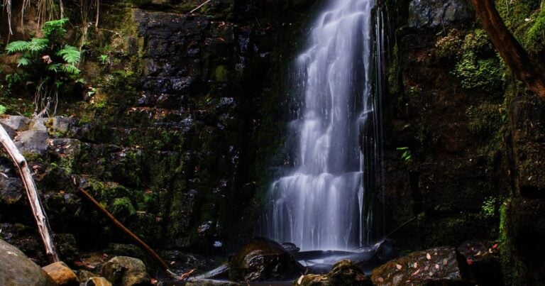 O'Gradys Falls Walk (2.5km) Ogradys falls scaled 768x403