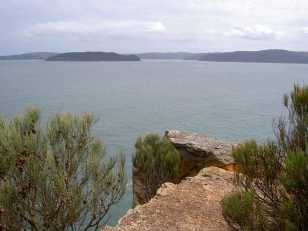 Putty beach box head lobster beach to pretty beach 600x450