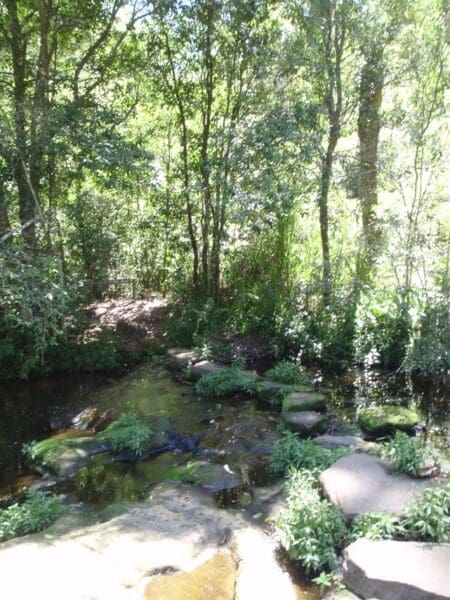 Hikes St ives to davidson park via casuarina track 450x600