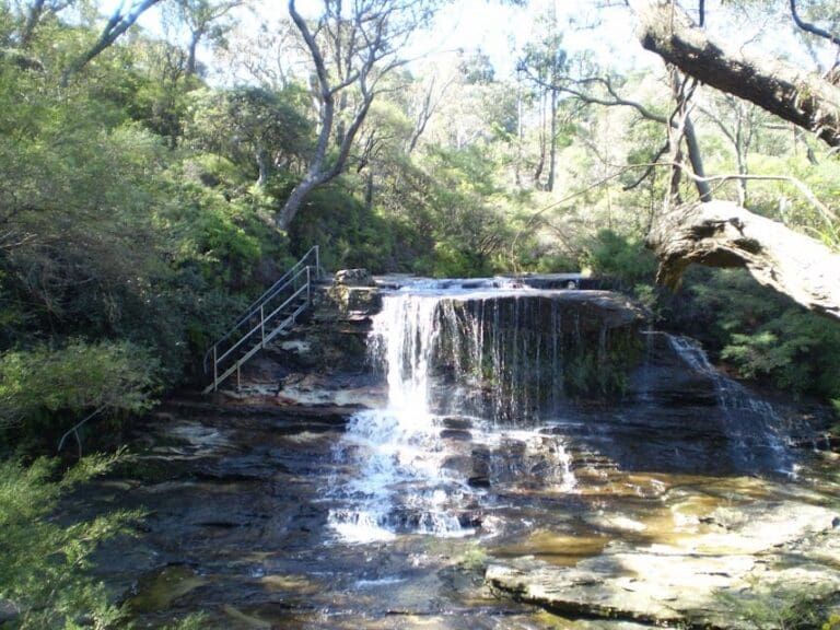 The Weeping Rock & Fletchers Lookout Walk (1.4km) The weeping rock and fletchers lookout tracks 768x576